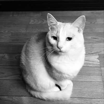 AWSに関連したお仕事でご飯を食べています。かつては光の戦士でした。猫、法律のお勉強、中国語が好き。