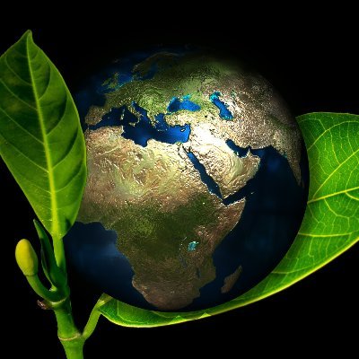 AncestralTribal's profile picture. Naturopathe Conseiller en Plantes Médicinales et Phytothérapie