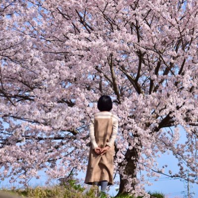 namashibori0518's profile picture. 家族で富山グラウジーズ応援してます📣