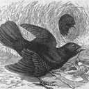 Michael Speir - @michaelspeir - Twitter