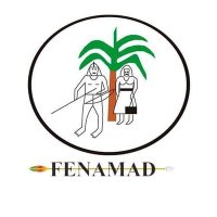 FENAMAD(@FENAMAD1) 's Twitter Profile Photo