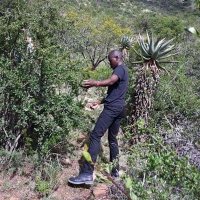 Wandisile (@amolathilecetya) 's Twitter Profile