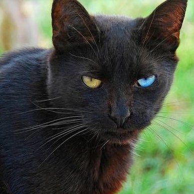 k93916935's profile picture. 