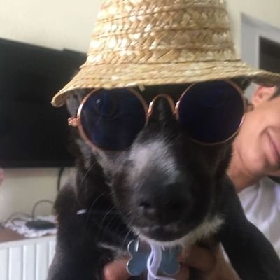 meirgogo's profile picture. ‏מה עשית טוב היום ?