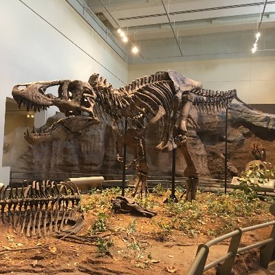 Writer obsessed w/ dinosaurs, whales, & Jurassic Park. Science-minded. He/him. Creator of Rex Machina: https://t.co/notL7PgN7o mastodon: @boyjurassic