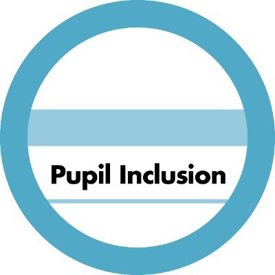 Pupil Inclusion supports 3rd sector partners working with vulnerable learners.