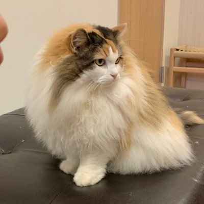 onB9SFlcMyAIyDo's profile picture. 