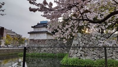 codegym1期生。20歳になったんだった。お酒飲めるよ。
2023/2/1に入社。Kotlinをがんばりたい。