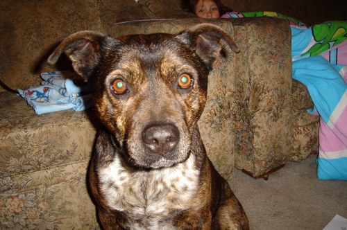 Dustyhuncher's profile picture. 