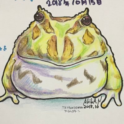 アキカン AKIKA.Nさんのプロフィール画像