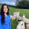 aliceinwellies's profile picture. Agricultural journalist by day🌾 , farmer by night. @RoyalAgUni grad. New entrant & council farm tenant