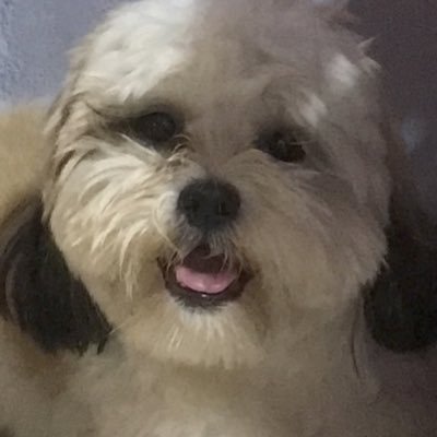 rikaalferos's profile picture. RPh ✨🪬