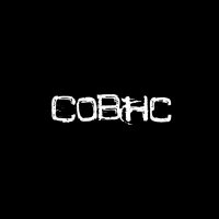 Children Of Bodom (@cobhc) 's Twitter Profile