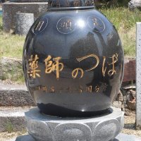 とれ (@tracie83282429) 's Twitter Profile