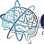 DavidFabilaRey1's profile picture. Neuro- Terapia CDMX