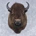 Glen Adams (@tatankka57) Twitter profile photo Glen Adams (@tatankka57) Twitter profile photo