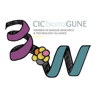 The Biomolecular Nanotechnology Lab @CICbiomaGUNE, led by Prof. Cortajarena, works on the engineering and application of protein-based tools and biomaterials.