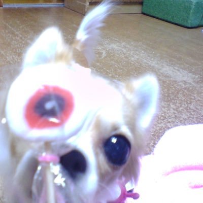 ドメ長🍉さんのプロフィール画像