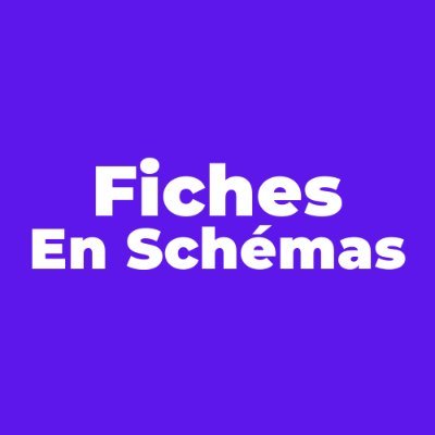 fichesschemas's profile picture. Maîtriser ses cours avec la méthode unique des fiches en schémas.