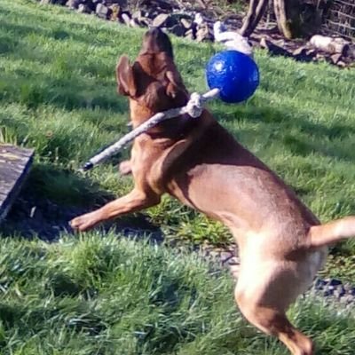 Fabulouschicke3's profile picture. Wtf do ppl put in theyre bios? Uh idk