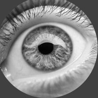 EXPLORADOR (@podememos) 's Twitter Profile