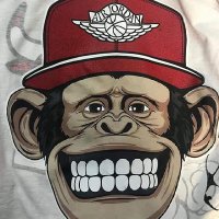 Maik (@bearrap2) 's Twitter Profile