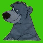 Baloo24 Profile Picture
