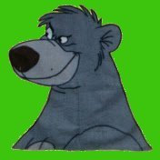 Baloo24(@Baloo24) 's Twitter Profile Photo