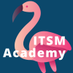 @ITSMAcademy