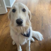 linda3988🌊 RIVER (@linda39881) 's Twitter Profile Photo