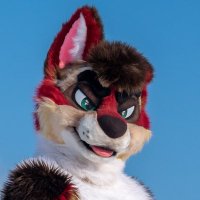 Hech(@HechTheDog) 's Twitter Profile Photo