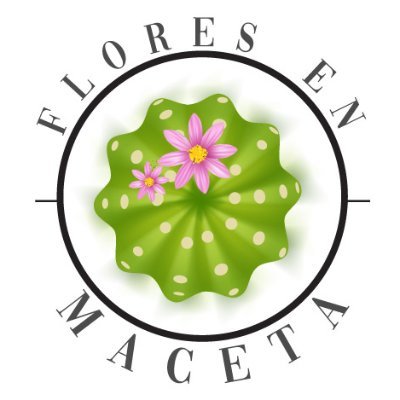 Creadoras de experiencias con plantas y flores 🌺🪴 a domicilio🚚/Interior 🪟, exterior🌞 y jardín🏡/👩🏼Emprendedoras👩🏻/ Negocio local/ Comercio justo 🌵🌷🪴
