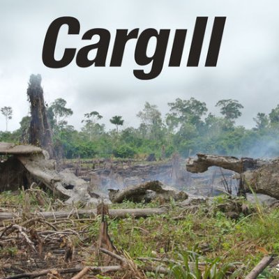 CargillDefores1's profile picture. End Cargill's Deforestation!
Follow conservation to save future generations!
Let your voice be heard by signing the link below: