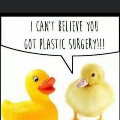 TomDunn24022131's profile picture. Comedy  Politics Music