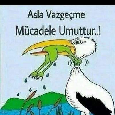 Din,dil, ırk ,renk ayrımı yapmadan bütün acı ları paylaşırım.zülmü alkışla mam zalimleri leri kınar ım ve bütün sevgilere gönül kapım açıktır..