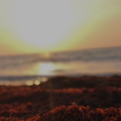 آلحمدلله آلذيَ جعَل فَ ذكرهہ راحهہ لعبادهہ