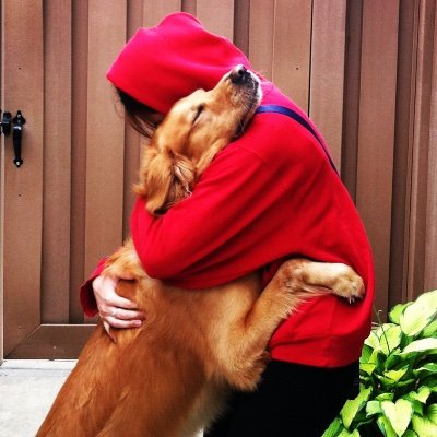 dailydosedogs's profile picture. feel free to send me cute pictures of your dogs to post!