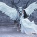 Pegasus🏳️🌈 (@pegacorn65) Twitter profile photo Pegasus🏳️🌈 (@pegacorn65) Twitter profile photo
