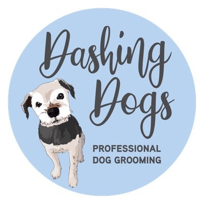 Offering one to one dog grooming in Alfreton since 2013 🐾