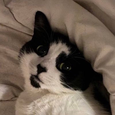 wakahamz's profile picture. 