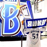 にっぴーな⚾️2月東京ドーム💋 (@taraaako335) 's Twitter Profile