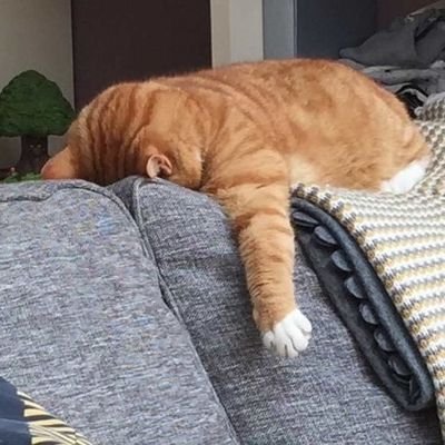 tired_0_0's profile picture. Can't nobody feel your pain...