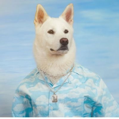 fenrirdf's profile picture. Nascido para perder,viva para vencer.