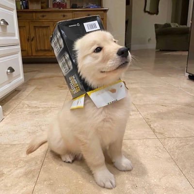 ihavenoname1007's profile picture. sub/有主/纯主奴/是狗但只是我爸爸的狗私信请放尊重哈/流水账碎碎念一级选手/欢迎交流谢绝聊骚/感谢关注ꉂ ೭(˵¯̴͒ꇴ¯̴͒˵)౨