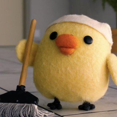 champagne_egg's profile picture. 