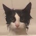 Real(real) (@2dumb2furiu0s) Twitter profile photo Real(real) (@2dumb2furiu0s) Twitter profile photo
