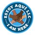 Suicide is a Social Justice Issue 👏🏽 (@EstoyAquiLLC) Twitter profile photo