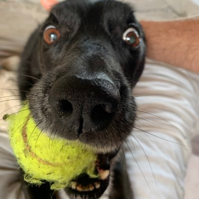 nydave11's profile picture. International venture capitalist always looking for opportunities. Dm’s open.