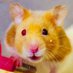 Petit Animal Queue(ぷにまるくー) (@queuepetit) Twitter profile photo Petit Animal Queue(ぷにまるくー) (@queuepetit) Twitter profile photo