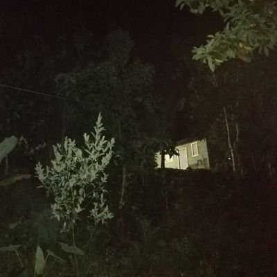 benerictosm's profile picture. BS Asesor Y Consultor Organizacional.